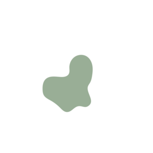 67458229-placeholder-1770009063