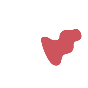 2ad4ea27-placeholder-1770031187