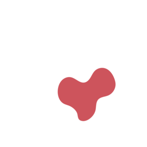 D637dca8-placeholder-1770005612