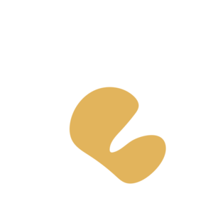 32fb0120-placeholder-1770009811