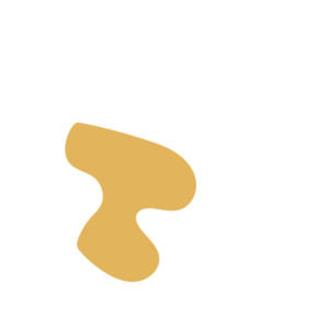 8c2c8054-placeholder-1770005610