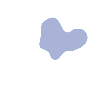 C413f1fd-placeholder-1770008243