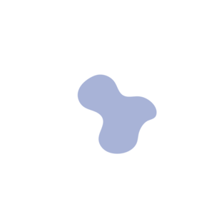 174b253c-placeholder-1770004945