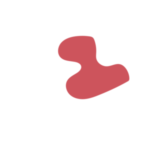 6f528250-placeholder-1770052945