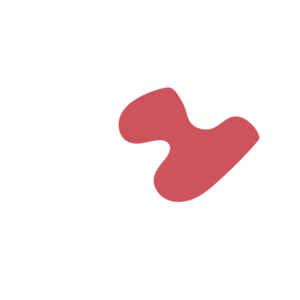 1456f91a-placeholder-1770054421