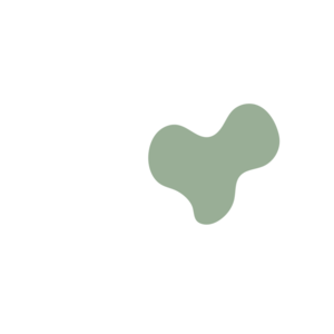 8bfae9b8-placeholder-1770035793