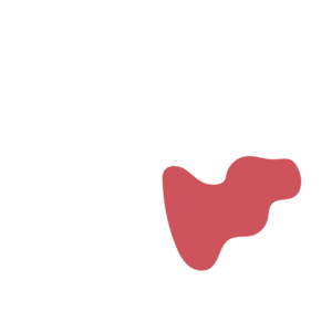 6ba9a5e5-placeholder-1770055048