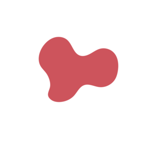 8f065b98-placeholder-1770015383