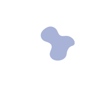 608fe5f6-placeholder-1770007611