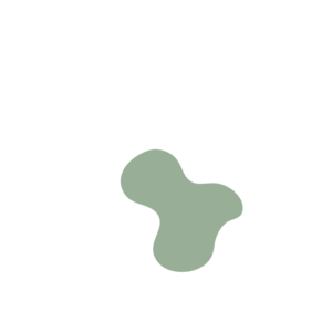 Ef7e8683-placeholder-1770006206