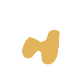 E9d5b65f-placeholder-1770021013