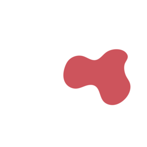 C840b783-placeholder-1770006207