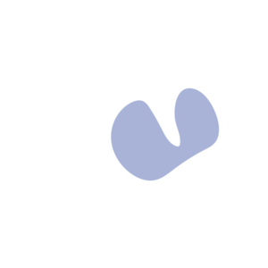 5c2b186c-placeholder-1770028232