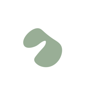 63d1f4e2-placeholder-1770032187