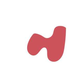 20030065-placeholder-1770007154