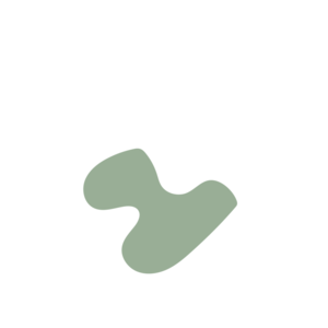 8656fdfd-placeholder-1769761474