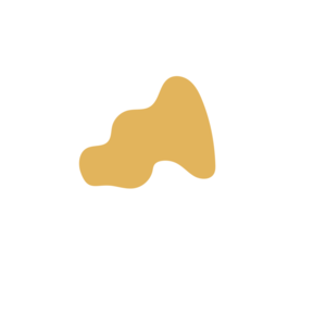 E3d23b25-placeholder-1770007975