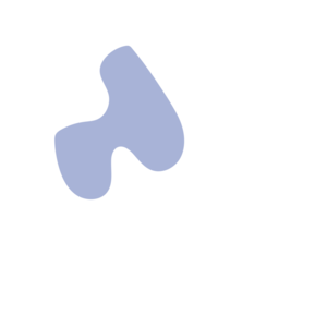 E63a6b73-placeholder-1770005805