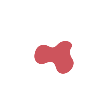 5112bf2d-placeholder-1770018034