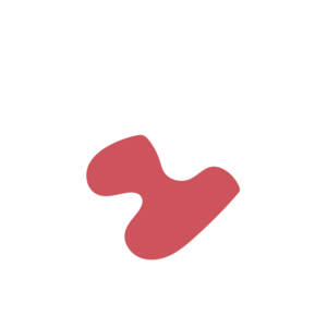 11a61558-placeholder-1770016550