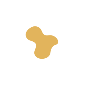 4631ce20-placeholder-1770035810