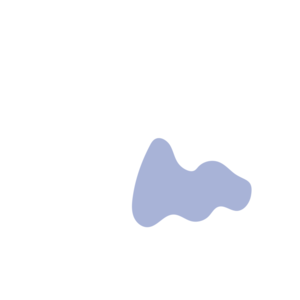 47f84937-placeholder-1770007098