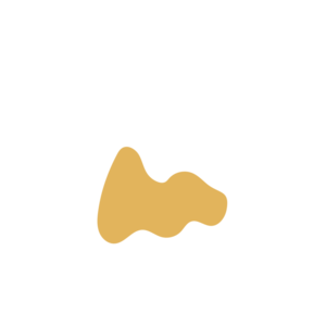 8ca57919-placeholder-1770012976