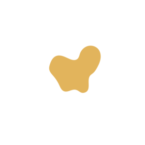 D3b875ce-placeholder-1770013796