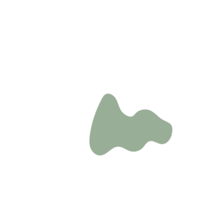 02979438-placeholder-1770004915