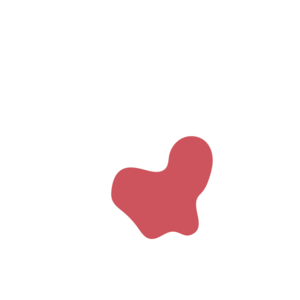 28c2dd74-placeholder-1770013117