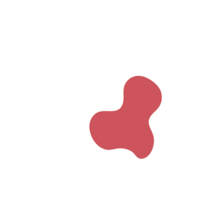 791e810d-placeholder-1770005904