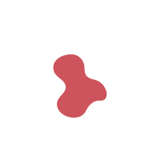 11618237-placeholder-1770018267