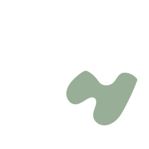 63872132-placeholder-1770007497