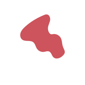 C931029b-placeholder-1770010498