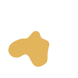 4c9d0e91-placeholder-1769405192