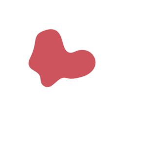 41829500-placeholder-1770055489