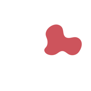 Ac3f255f-placeholder-1770006438