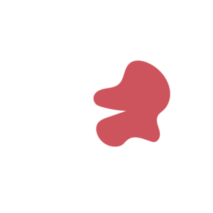 942a53ac-placeholder-1770009579