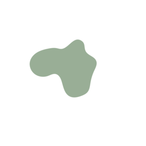 9b3830a0-placeholder-1770009147