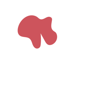 Cd7c192c-placeholder-1770010644