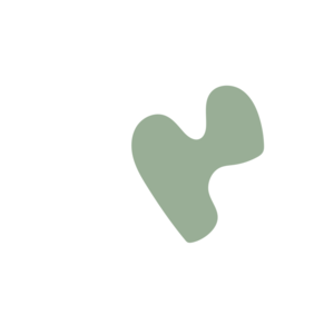 79c195a1-placeholder-1770005919