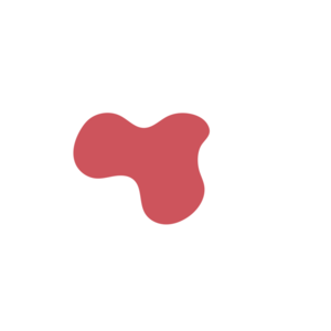 6bd475cd-placeholder-1770016237