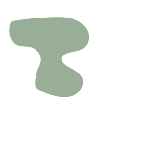 5b423c37-placeholder-1770027149