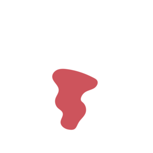 097bb995-placeholder-1770022765