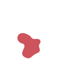 4fa1c6fb-placeholder-1770013647