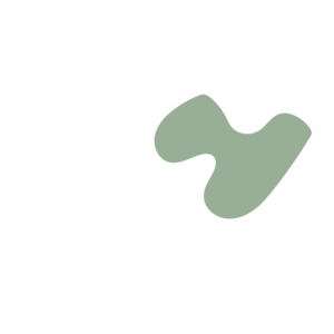 Be32b9d6-placeholder-1770006983