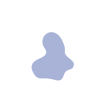 9f679bdd-placeholder-1770009673