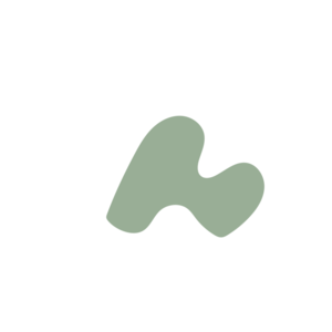 C810c4bb-placeholder-1770017755