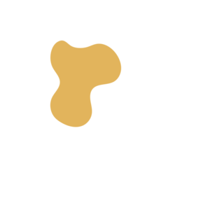 402b6ec7-placeholder-1770012214