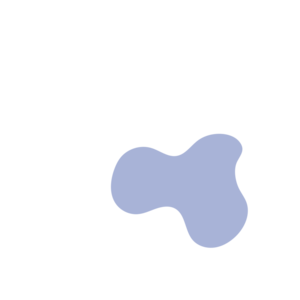 E0892e94-placeholder-1770022012